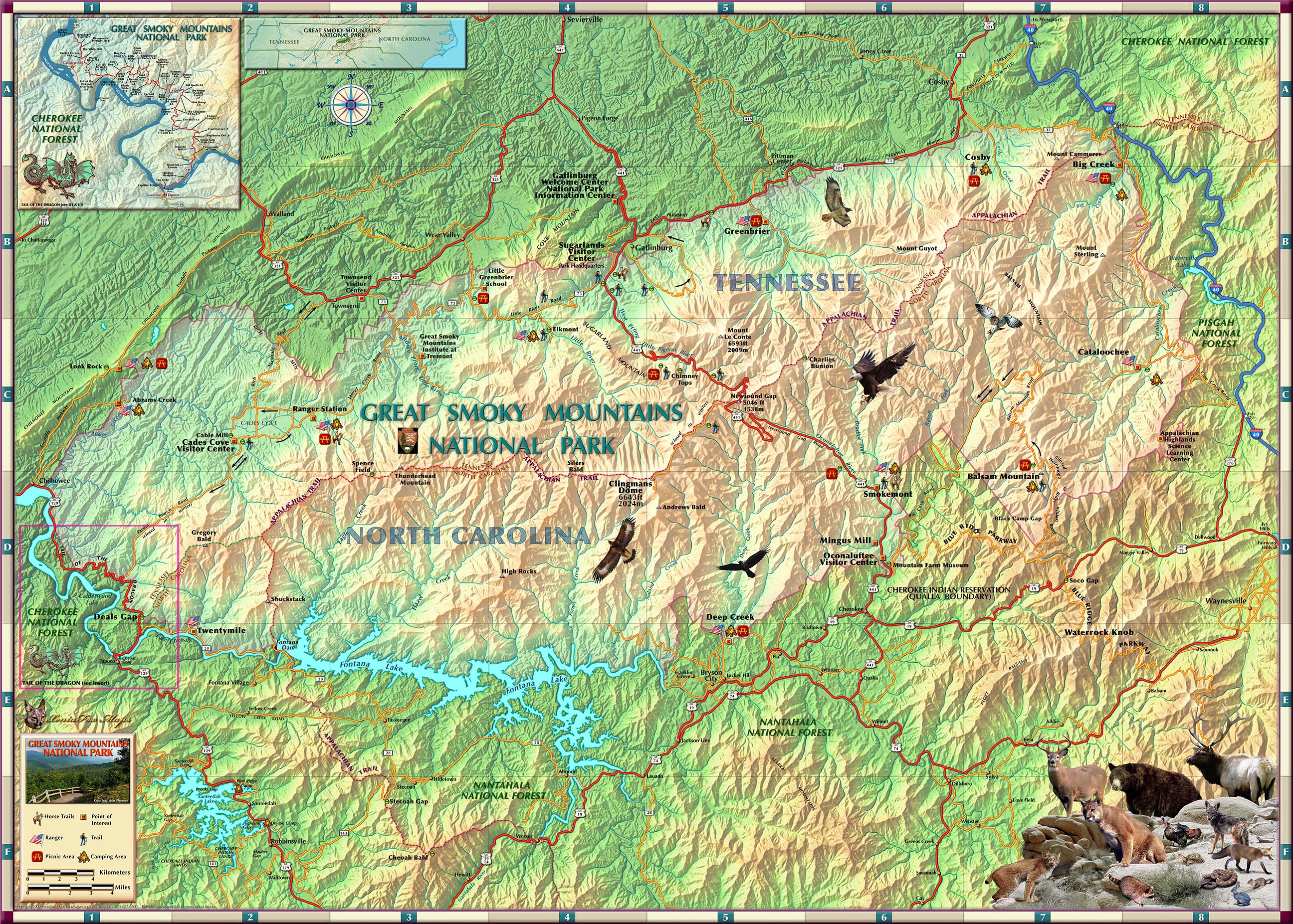 Smoky Mountains National Park Wall Map by Compart Maps MapSales