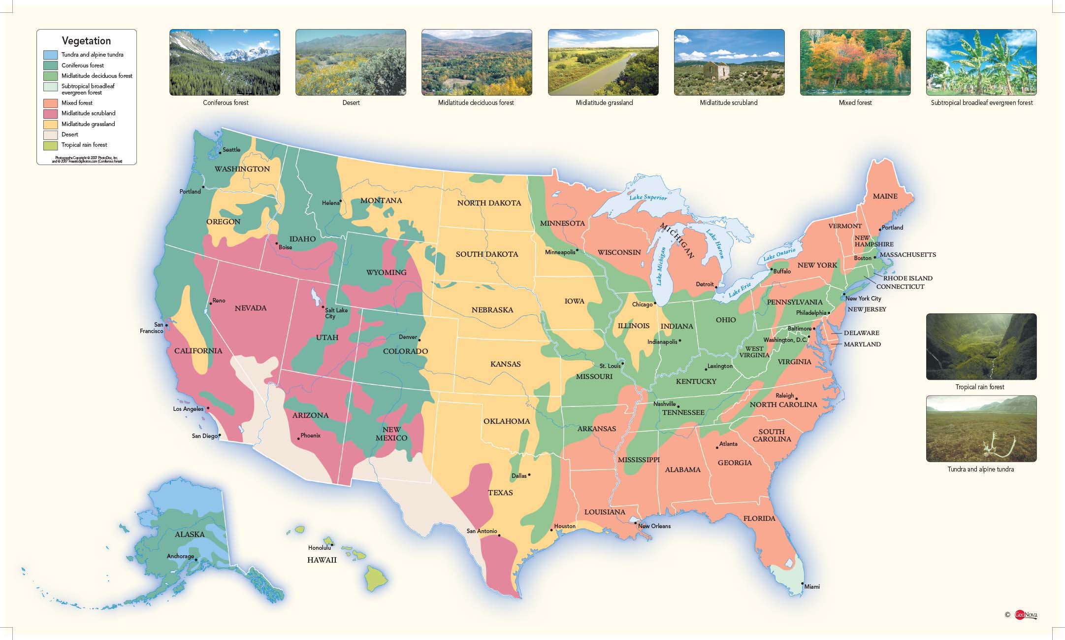 Us Vegetation Wall Map By Geonova Mapsales - Gambaran