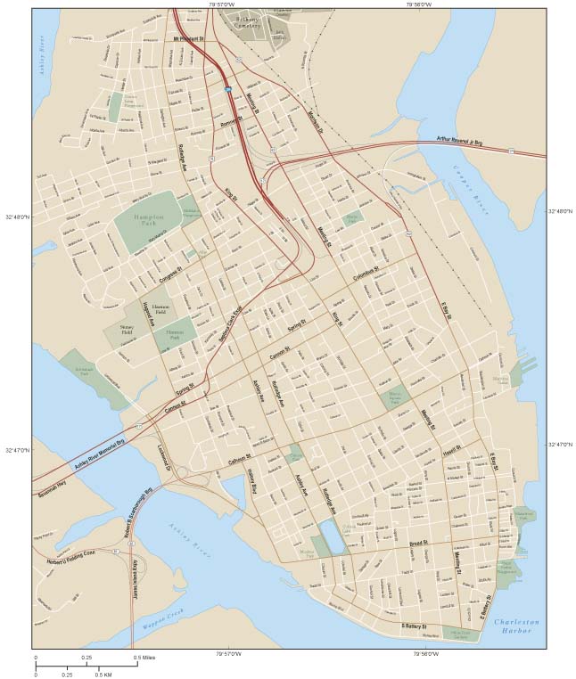 Charleston Downtown Wall Map by Map Resources MapSales