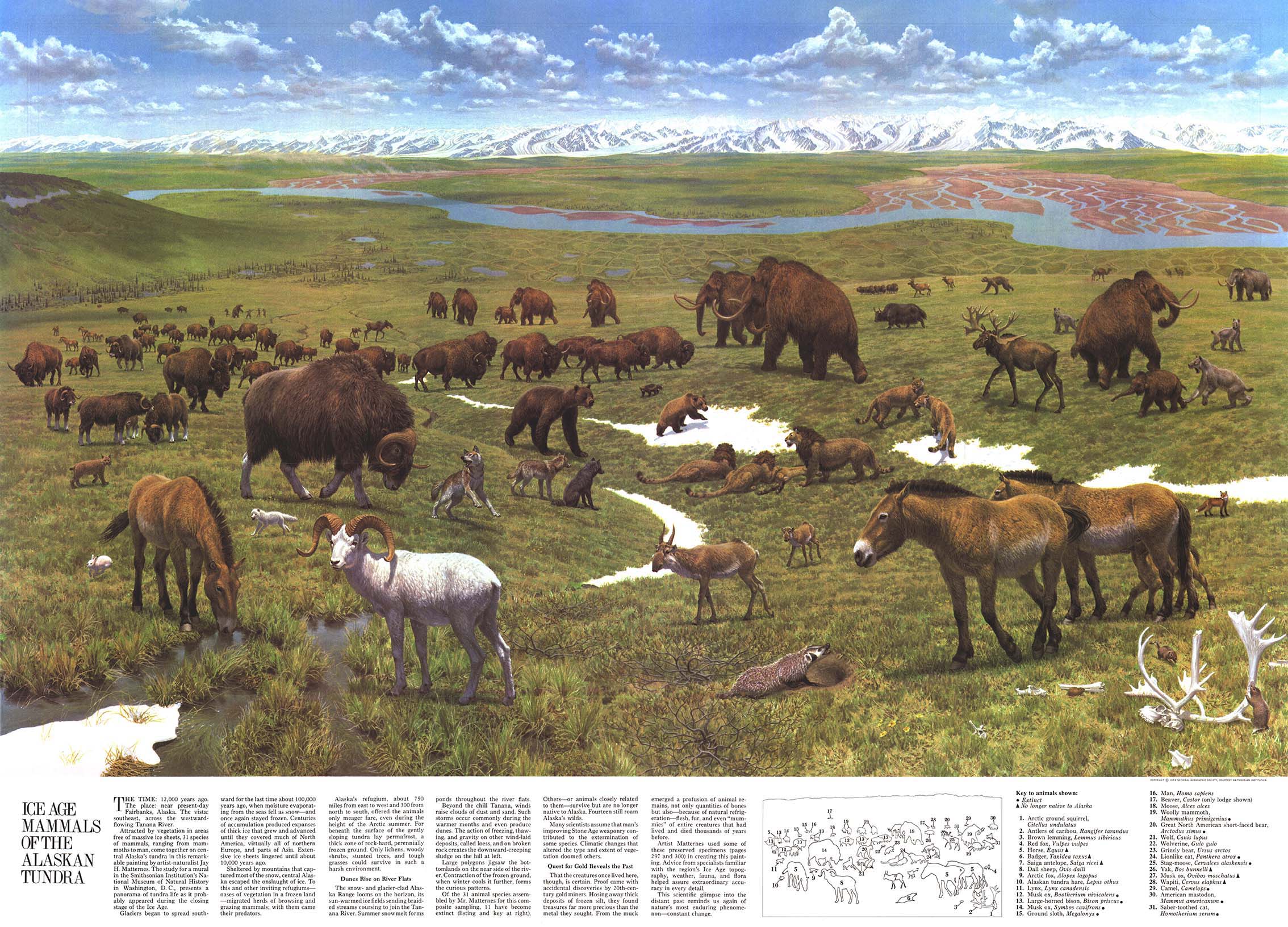 Were Ice Age Mammals Really This Evil? Shocking New Discoveries! - g6hc3ei