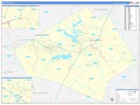 Bell, Tx Carrier Route Wall Map