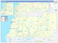 Pasco, Fl Wall Map Zip Code