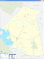 Polk, Tx Carrier Route Wall Map