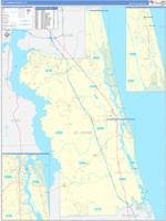 St. Johns, Fl Carrier Route Wall Map