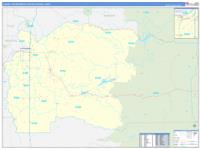 Albany Metro Area Wall Map