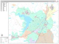 Waco Wall Map