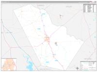 Bee, Tx Wall Map