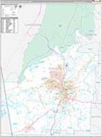 Rome Metro Area Wall Map