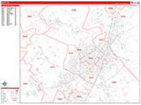 Waco Wall Map