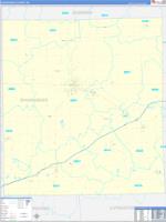 Shiawassee, Mi Carrier Route Wall Map