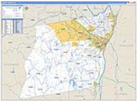 Albany, Ny Carrier Route Wall Map