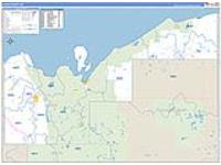 Alger, Mi Carrier Route Wall Map