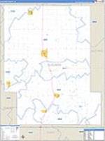 Audubon, Ia Carrier Route Wall Map