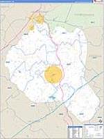 Banks, Ga Carrier Route Wall Map