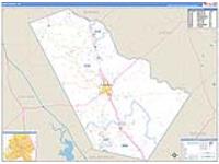 Bee, Tx Carrier Route Wall Map