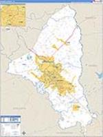 Brazos, Tx Carrier Route Wall Map