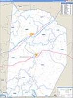 Brunswick, Va Carrier Route Wall Map