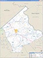 Buchanan, Va Carrier Route Wall Map