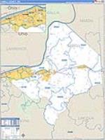 Cabell, Wv Carrier Route Wall Map