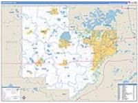 Carver, Mn Carrier Route Wall Map