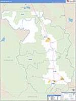 Chaffee, Co Carrier Route Wall Map