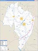 Charlotte, Va Carrier Route Wall Map
