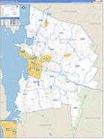 Chittenden, Vt Carrier Route Wall Map