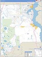 Clay, Fl Carrier Route Wall Map