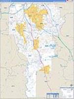 Clayton, Ga Carrier Route Wall Map