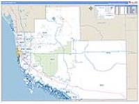 Collier, Fl Carrier Route Wall Map