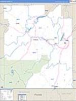 Covington, Al Carrier Route Wall Map