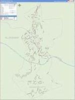 Covington, Va Carrier Route Wall Map