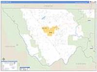 Custer, Co Carrier Route Wall Map