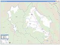 Custer, Id Carrier Route Wall Map