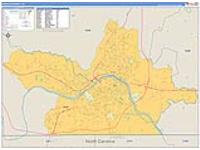 Danville, Va Carrier Route Wall Map