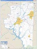 Davidson, Nc Carrier Route Wall Map