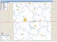 Delaware, Ia Carrier Route Wall Map