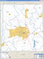 Delaware, In Carrier Route Wall Map