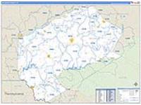 Delaware, Ny Carrier Route Wall Map