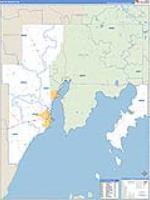 Delta, Mi Carrier Route Wall Map