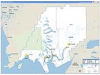 Dillingham Borough (), Ak Carrier Route Wall Map