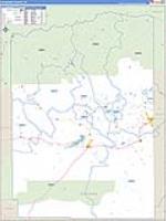 Duchesne, Ut Carrier Route Wall Map