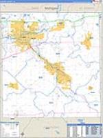 Elkhart, In Carrier Route Wall Map