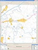 Fayette, Tn Carrier Route Wall Map