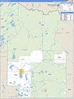 Forest, Wi Carrier Route Wall Map