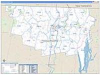 Franklin, Ma Carrier Route Wall Map