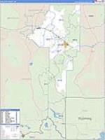 Gallatin, Mt Carrier Route Wall Map