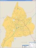 Harrisonburg, Va Carrier Route Wall Map