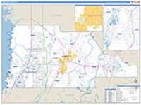 Hernando, Fl Carrier Route Wall Map