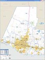 Hidalgo, Tx Carrier Route Wall Map
